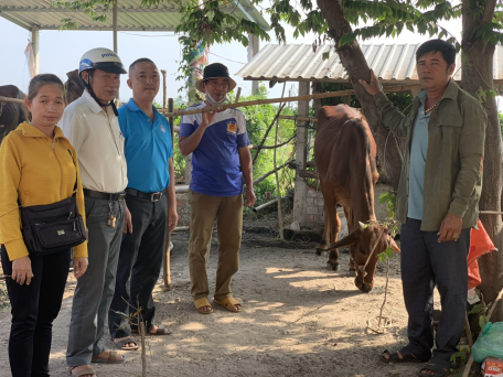 Chương trình hỗ trợ nhân dân phát triển kinh tế với mô hình “Chăn nuôi bò sinh sản”