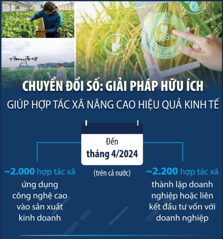 Chuyển đổi số: Giải pháp hữu ích giúp hợp tác xã nâng cao hiệu quả kinh tế