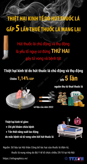 Thiệt hại kinh tế do hút thuốc lá gấp 5 lần thuế thuốc lá mang lại