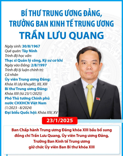 Quá trình công tác của Bí thư Trung ương Đảng, Trưởng Ban Kinh tế Trung ương Trần Lưu Quang